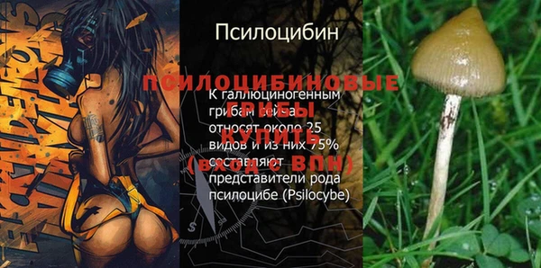 круглые Кукмор