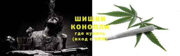 прущие крисы Кулебаки