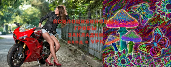 прущие крисы Кулебаки