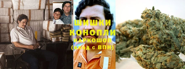 прущие крисы Кулебаки