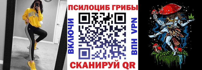 Купить закладки  Сунжа  Псилоцибиновые грибы прущие грибы 