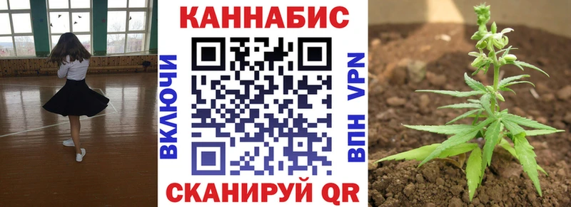 Купить где  Сунжа  МАРИХУАНА OG Kush 